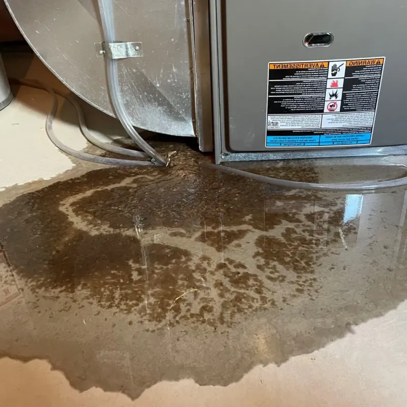 Pipe Burst and Leak Restoration in East Kingston, NH